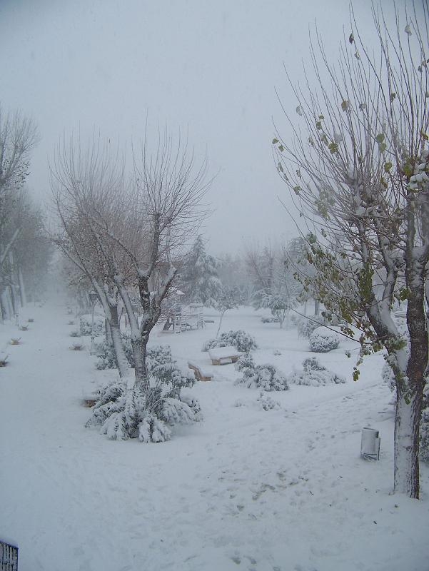 nieve 14 - 12 - 09 082